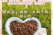 贵宾犬爱吃什么？探秘它们的美食偏好（揭开贵宾犬口味的秘密，让你更懂你的毛绒宝贝）