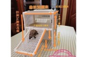草龟下蛋的时间与习性（探秘草龟繁殖的奥秘）