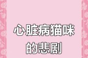 猫的先天性心脏病（猫咪心脏病的影响因素与延长寿命的方法）