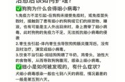 狗狗患细小后正常吃食的时间及注意事项