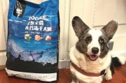 柴犬的饮食需求（一起看看柴犬的饮食要点和最佳选择）
