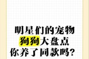 养宠物狗的注意事项（照顾宠物狗需谨记的15个要点）