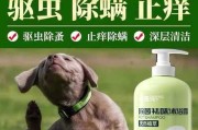 狗狗驱虫的实惠方法（用什么方式可以经济地为你的爱犬进行驱虫？）