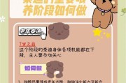 挑选泰迪，品相重要还是健康与教育关键？（探讨挑选泰迪时品相、健康和教育的重要性）