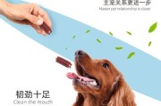 为宠物狗提供健康磨牙的好牌子（发现什么牌子的磨牙产品最适合你的狗）