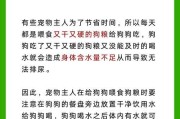 狗狗憋屎憋尿的时间有多久？（解密狗狗控制排泄的神奇能力）
