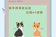 为什么大家更喜欢养“公猫”？（探讨公猫的优势与魅力，揭秘人们爱养公猫的原因）
