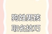 如何让小狗快速知道自己的名字（简单有效的训练方法帮助小狗记住名字）