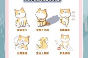 狗狗能憋屎憋尿多久？（了解狗狗憋尿时间的重要性及相关建议。）