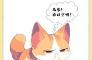 如何给猫咪提供清洁的饮水？（水质要求、更换频率和饮水器的选择）