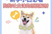 狗狗一直呕吐的原因及应对方法（了解狗狗呕吐的原因，正确处理呕吐问题，保护宠物健康）