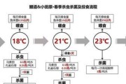 西里汉梗饲养全指南（从养殖环境到喂养方式，教你成为优秀的西里汉梗主人）