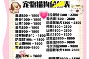 开宠物店需要的知识与技能（从宠物养护到商业运营，打造成功宠物店的必备条件）