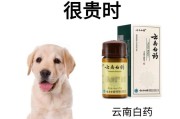 养狗指南（从品种、性格到饲养要点，助你挑选最佳宠物犬伴）
