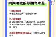 泰迪感冒的症状及预防措施（详解泰迪感冒的常见症状，提供科学有效的预防方法）