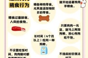 狗狗为什么会挑食？（挑食的原因与解决方法）