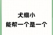 狗与细小病毒（揭开狗细小病毒威胁下的健康保障）