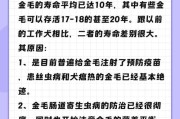 如何判断金毛是否步入老年期？（老年期金毛的症状和特征）