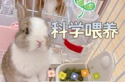 兔子饮食与生长（兔子的饮食发育阶段及关键食物、如何适时引入新的食材）