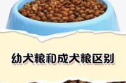 合理控制狗狗的饮食量，确保健康成长（如何判断狗狗的饮食量，以及每餐应该喂狗多少？）