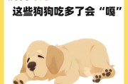 拉布拉多犬的健康蔬菜水果饮食指南（帮你了解拉布拉多犬宜食用的蔬菜和水果，让它们保持健康活力）