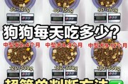 狗狗何时适合以米饭为主食？（饮食转变的关键时间点和注意事项）