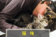 为什么猫不愿意和我睡？（揭开猫咪宁静独立的面纱）