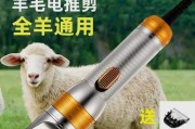 小狗推毛神器-选择合适的推子（帮助你轻松解决小狗换毛问题的秘诀）