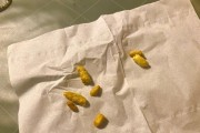 小猫刚出生多久开始有大便？（宝宝猫便便的发展过程及注意事项）
