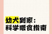 幼犬饮食安排的重要性（为幼犬提供恰当的饮食是其健康成长的关键）