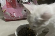 幼犬5斤奶糕吃多久？（宝贝营养需求的关键）