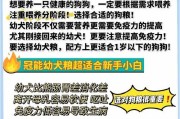 以比熊养成攻略（小白如何成为合格比熊主人）