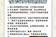 如何在对狗毛过敏的情况下依然能养狗？（探索过敏原源，采取有效措施，让您与毛绒宠物和谐共处）