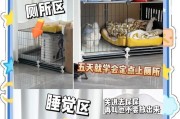 狗狗的排便时间与健康（了解狗狗的排便频率，关注它们的健康）