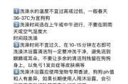 幼狗打针后洗澡多久合适？（探讨幼狗接种疫苗后洗澡的最佳时间）