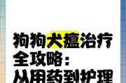 狗狗感冒的预防和治疗方法（保护宠物犬免受疾病困扰）