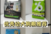幼犬进食后多久会排便？（探究幼犬饮食与排便的关系）