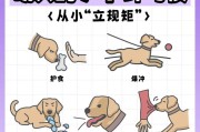 如何在家治疗幼犬细小病毒感染（宠物幼犬细小病毒感染的预防与治疗方法）