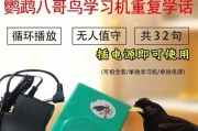 鹦鹉八哥的语言学习训练方法（教你如何训练鹦鹉八哥说话，让它成为你的语言小伙伴）