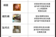 探究泰迪为何易患皮肤病（泰迪犬皮肤问题的成因及预防方法）