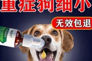 如何处理幼犬拉便血问题（幼犬拉便血的原因及应对方法）