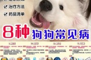 养狗必备药品，守护宠物健康（常备药品清单及使用指南）