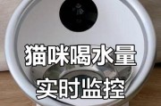 猫咪的水分需求及如何促进其饮水（掌握合适的饮水量，让猫咪健康快乐）