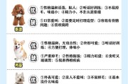 泰迪狗的配种最佳时机及注意事项（了解泰迪狗的配种时机和交配注意事项，做好繁育准备）