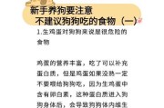 金毛犬禁食物及注意事项（了解金毛犬不能吃的食物，让它们健康快乐）