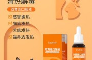宠物猫流鼻涕的治疗方法（了解如何帮助你的猫摆脱流鼻涕的困扰）
