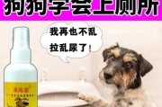 狗狗五天没有大便怎么办？（应对狗狗便秘的有效措施）