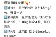 如何照顾患有胰腺炎的猫咪（6种状况需小心，宠物主人必备指南）