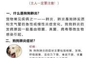 狗狗突然咳嗽、呼吸急促的原因分析（探究狗狗咳嗽和呼吸急促的症状及其可能的原因）