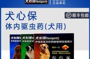 泰迪狗驱虫的重要性（科学驱虫保护宠物健康）